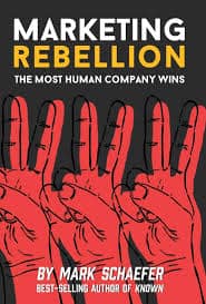 cover for Marketing Rebellion book